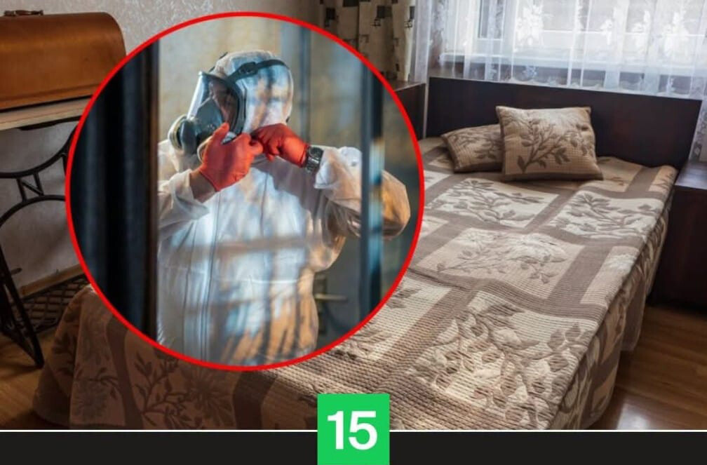 15min straipsnis dezinfekcija po mirties